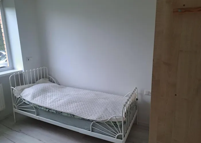 Koidula Kuelaliskorter Apartment *