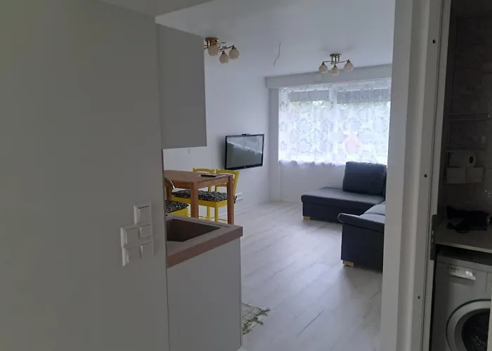 Koidula Kuelaliskorter Apartment Võru